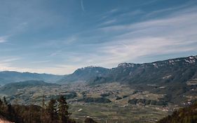 Malgorerhof Lavendel